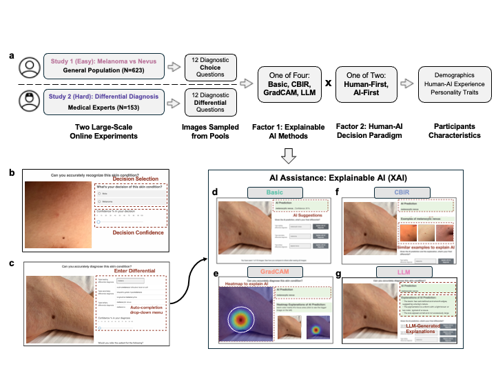 dermatology paper figure