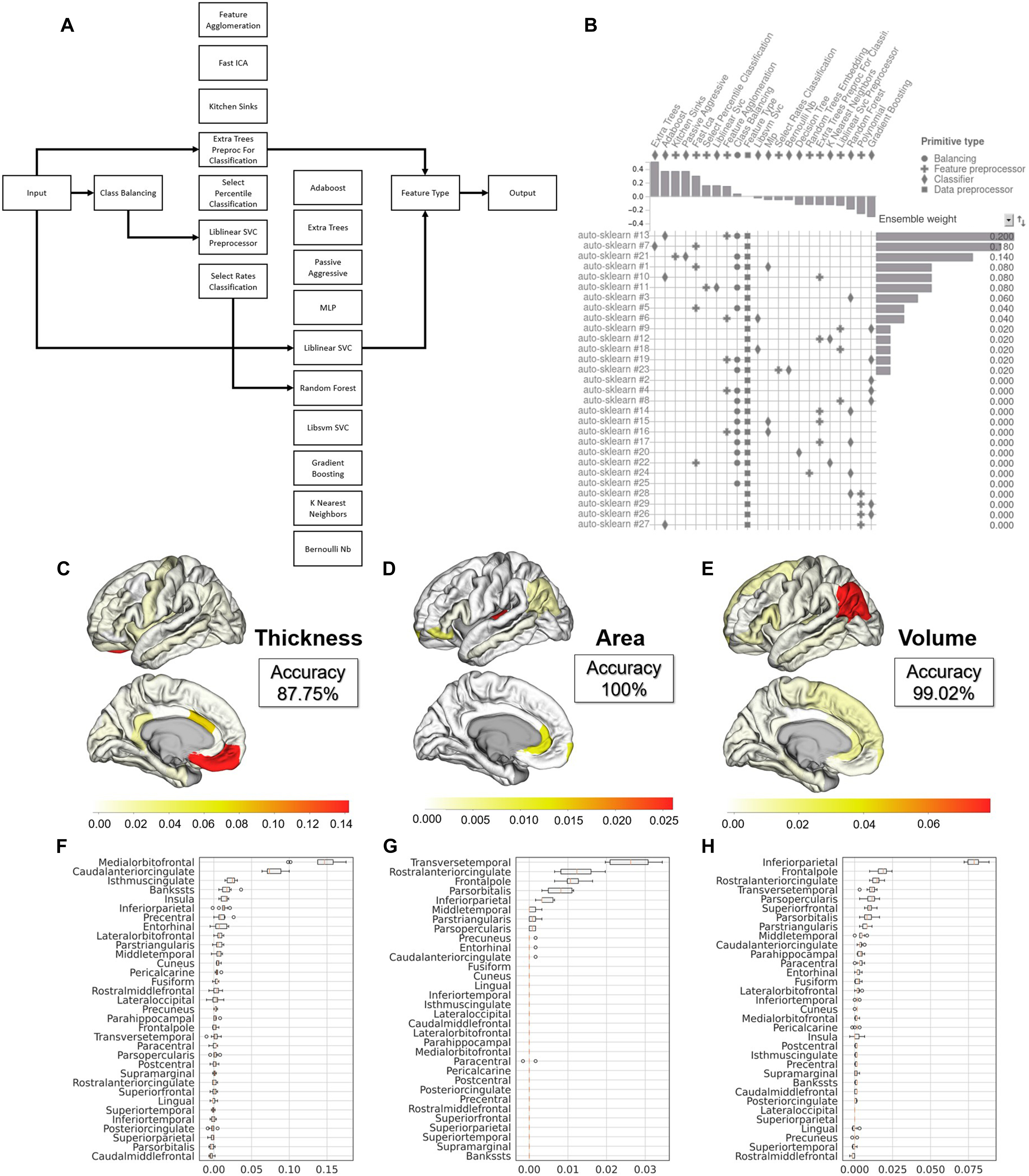 brain asymmetry paper figure